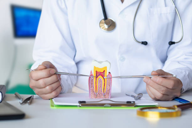 Best Pediatric Emergency Dentist in Hortonville, WI